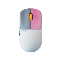 Custom Mice-Test